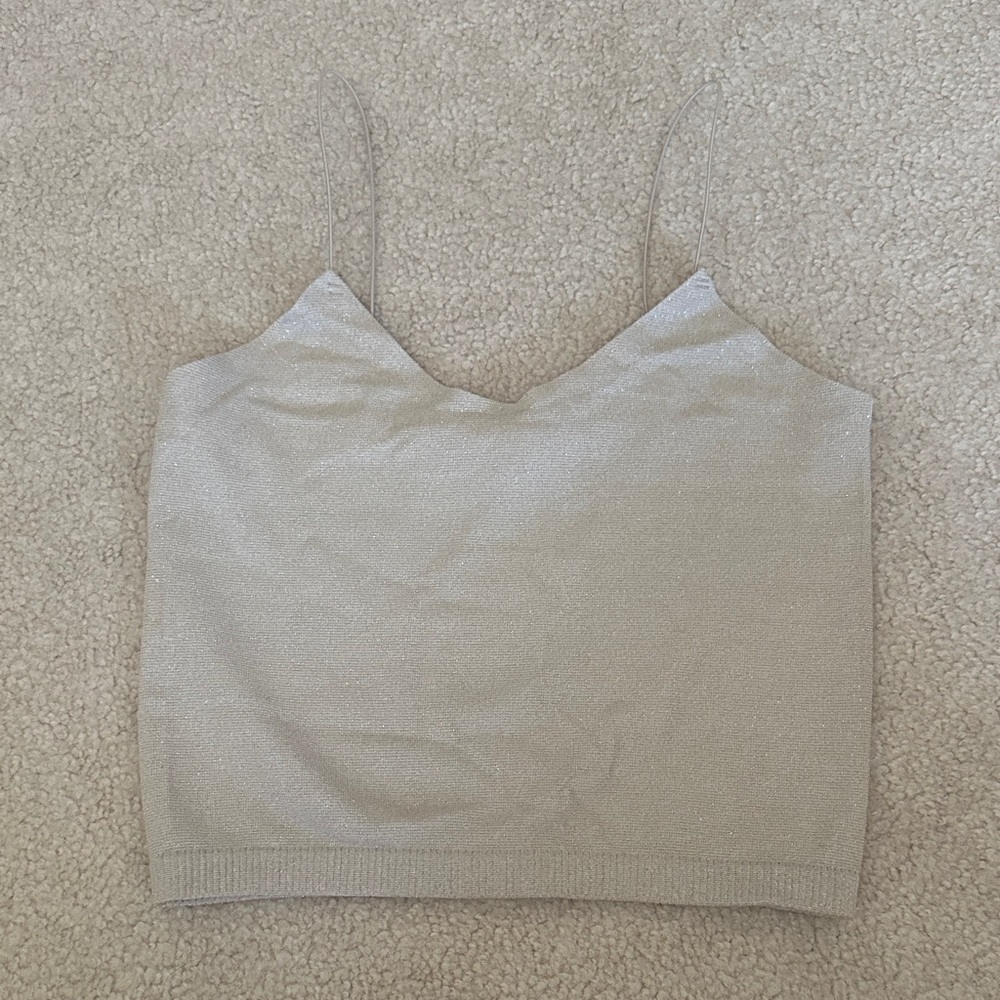 Sparkly Taupe Top